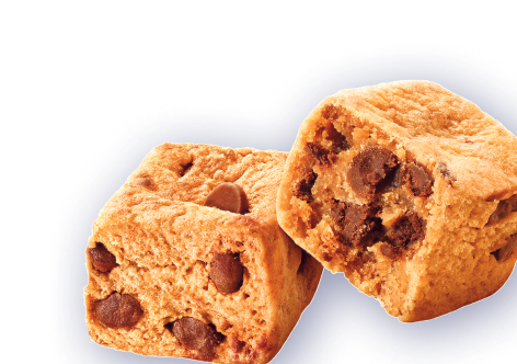 Decorative footer image